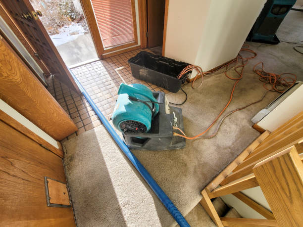 Best Commercial water damage restoration  in Catahou, LA