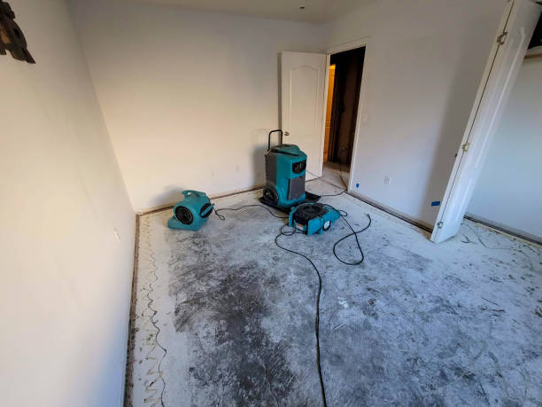 Best Residential water damage restoration  in Catahou, LA