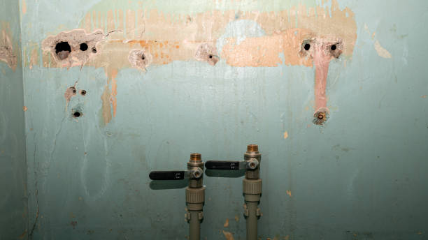 Best Local water damage restoration  in Catahou, LA