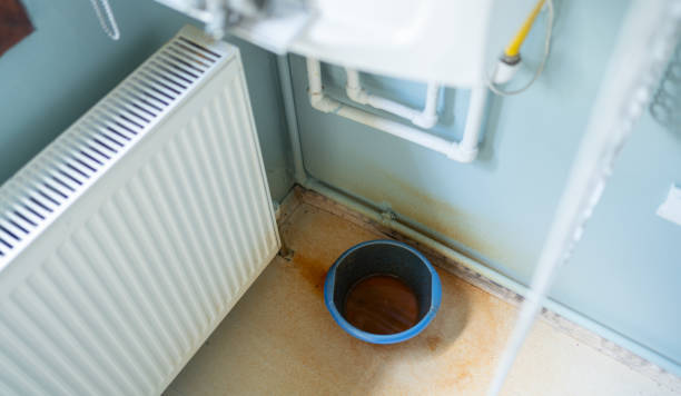 Best Basement water damage restoration  in Catahou, LA