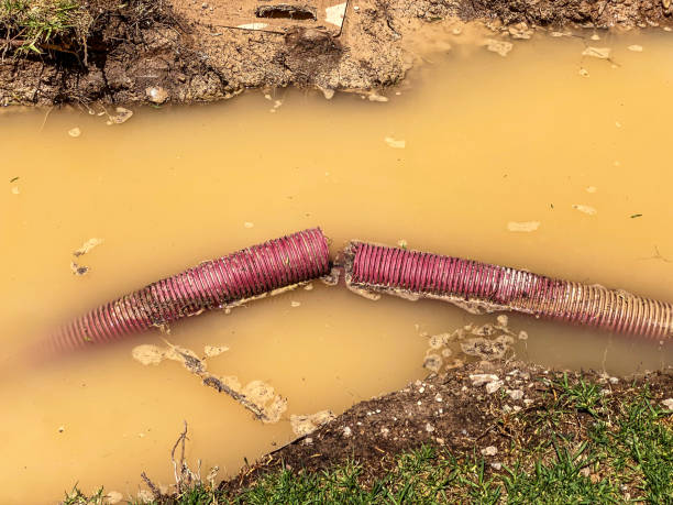 Best Flood damage cleanup  in Catahou, LA