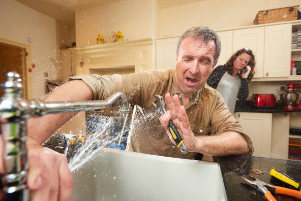 Best Professional water damage repair  in Catahou, LA